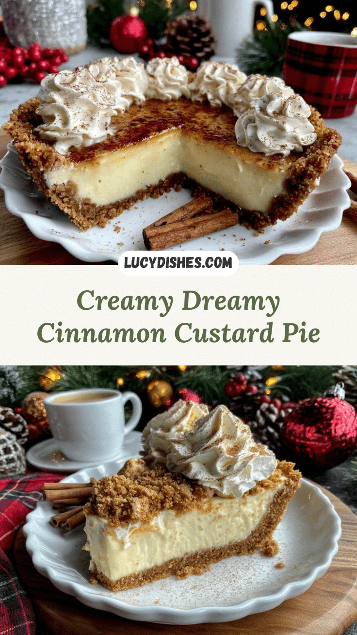 creamy cinnamon-vanilla custard pie recipe