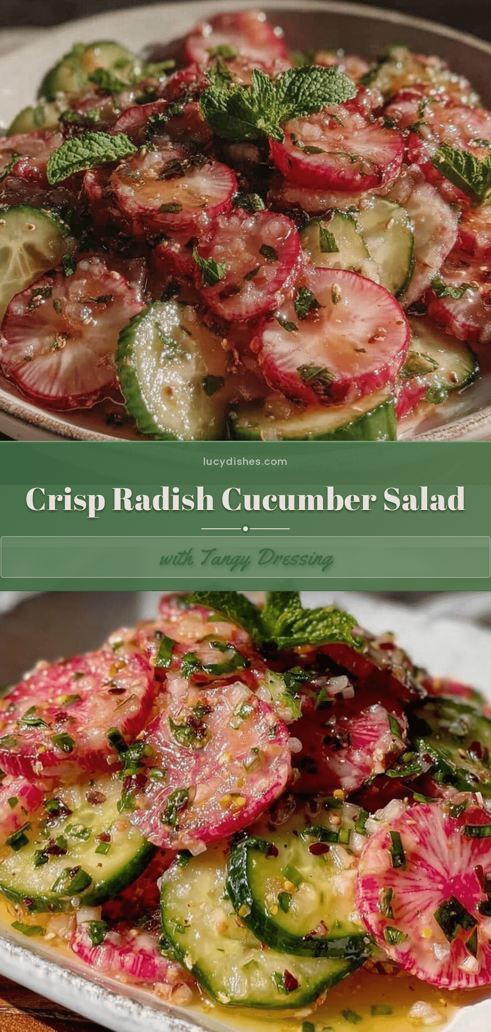 fresh radish and cucumber cold salad recipe