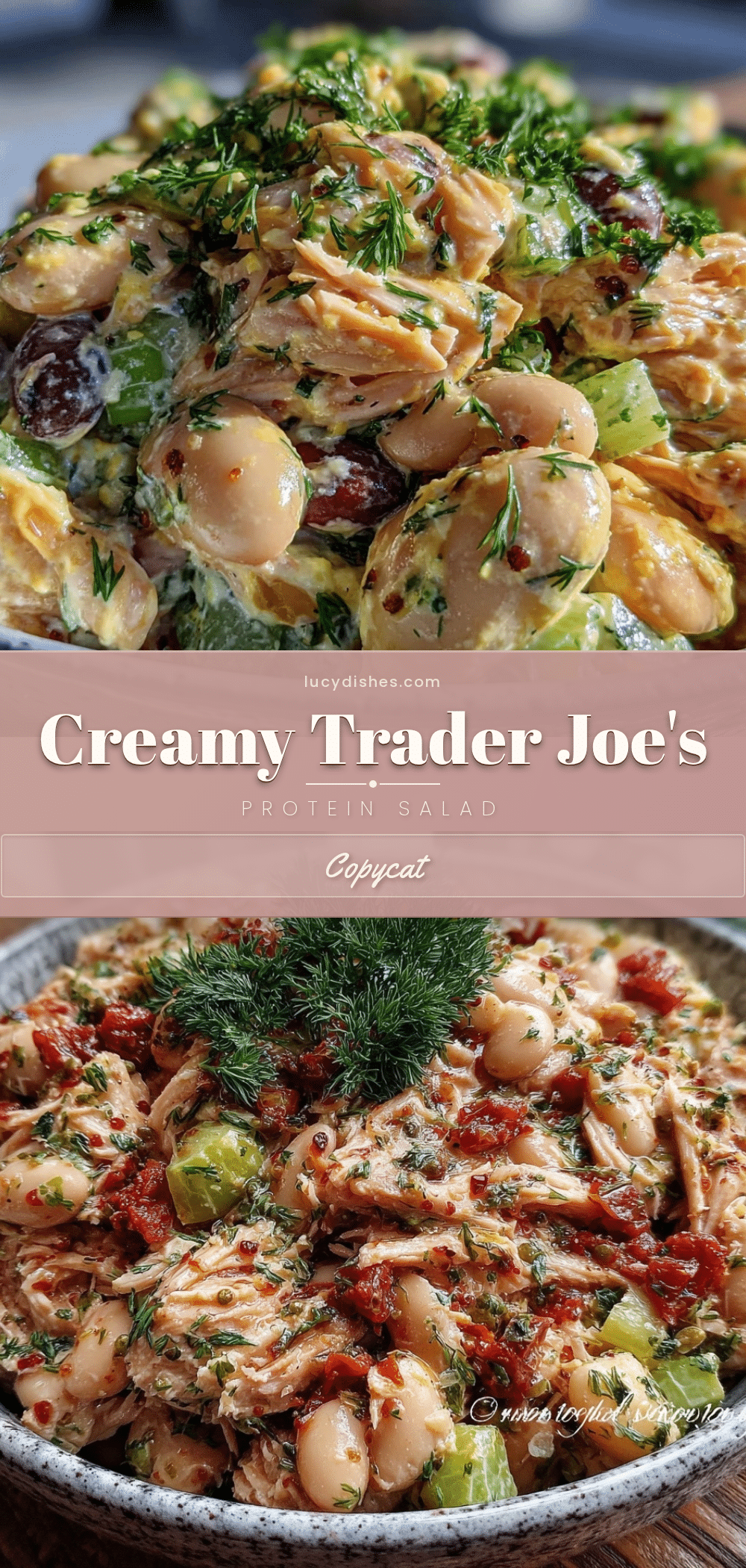 fresh trader joes protein salad copycat recipe recipe