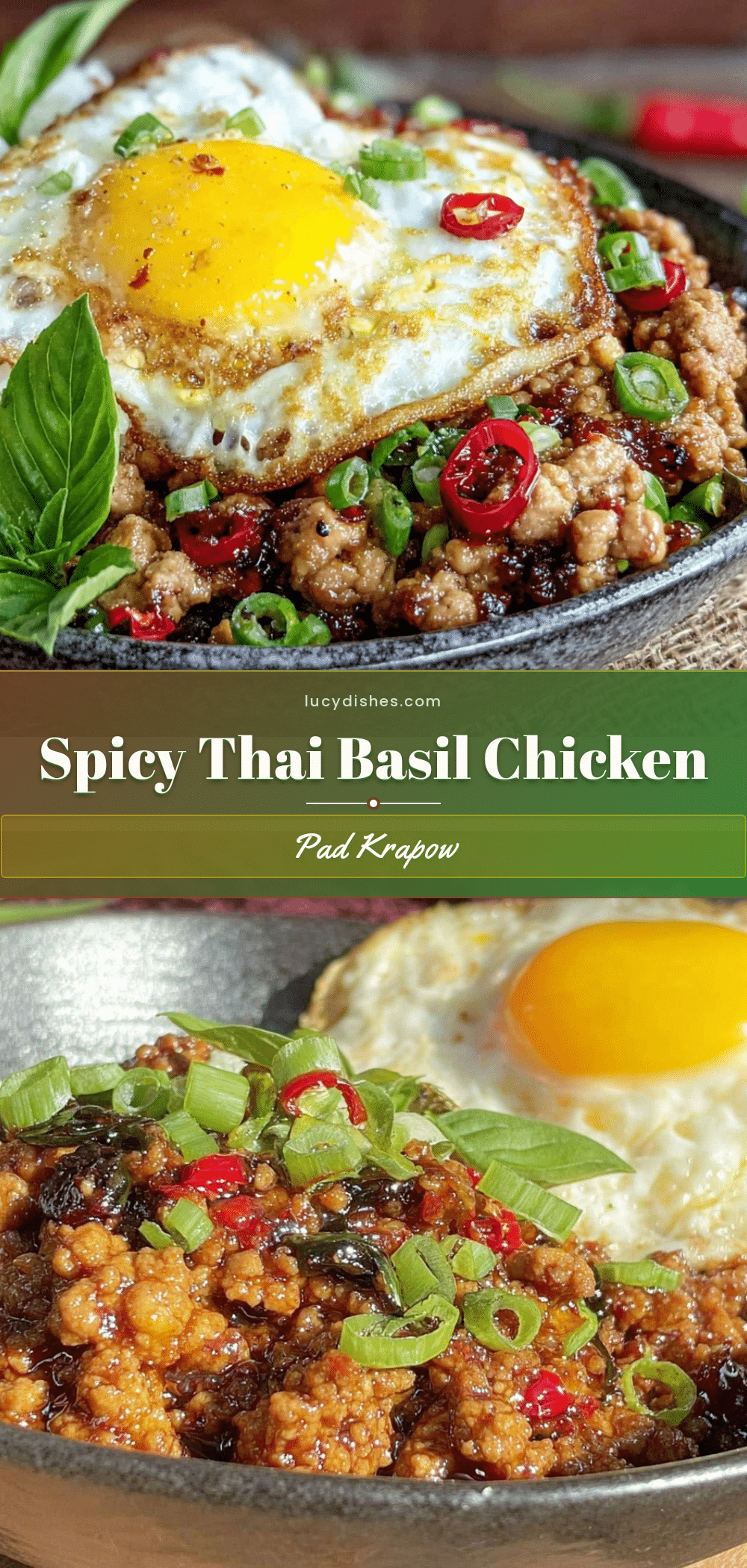 thai basil chicken pad krapow gai recipe