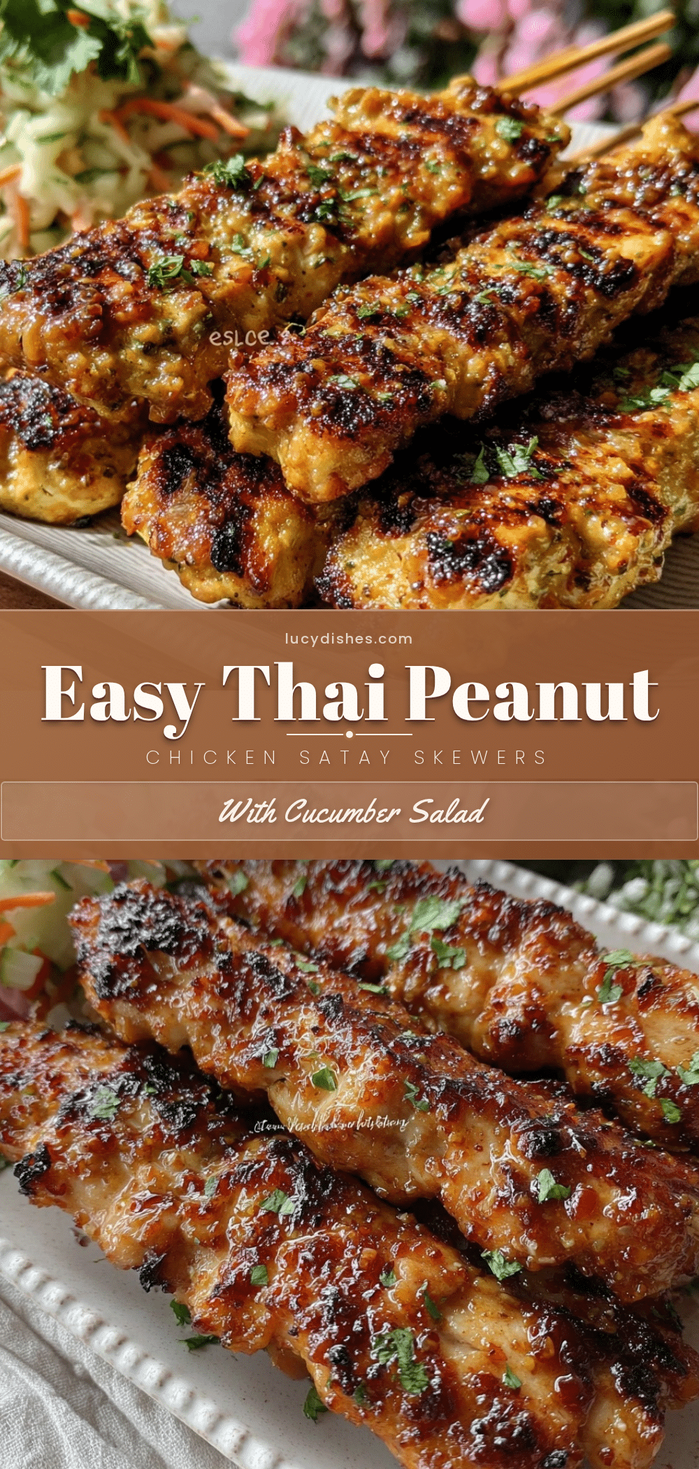 thai peanut chicken satay skewers recipe