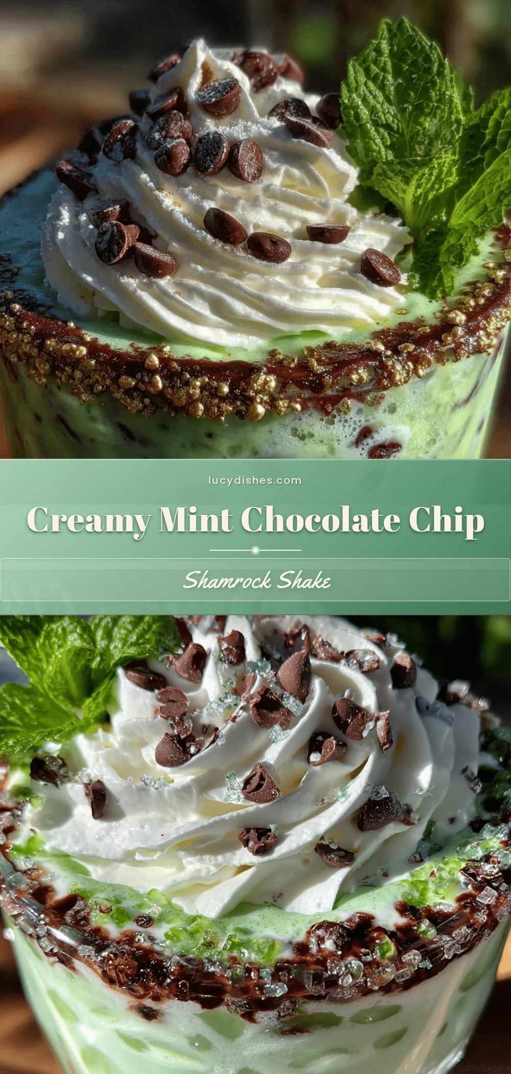 creamy mint chocolate chip shamrock shake recipe