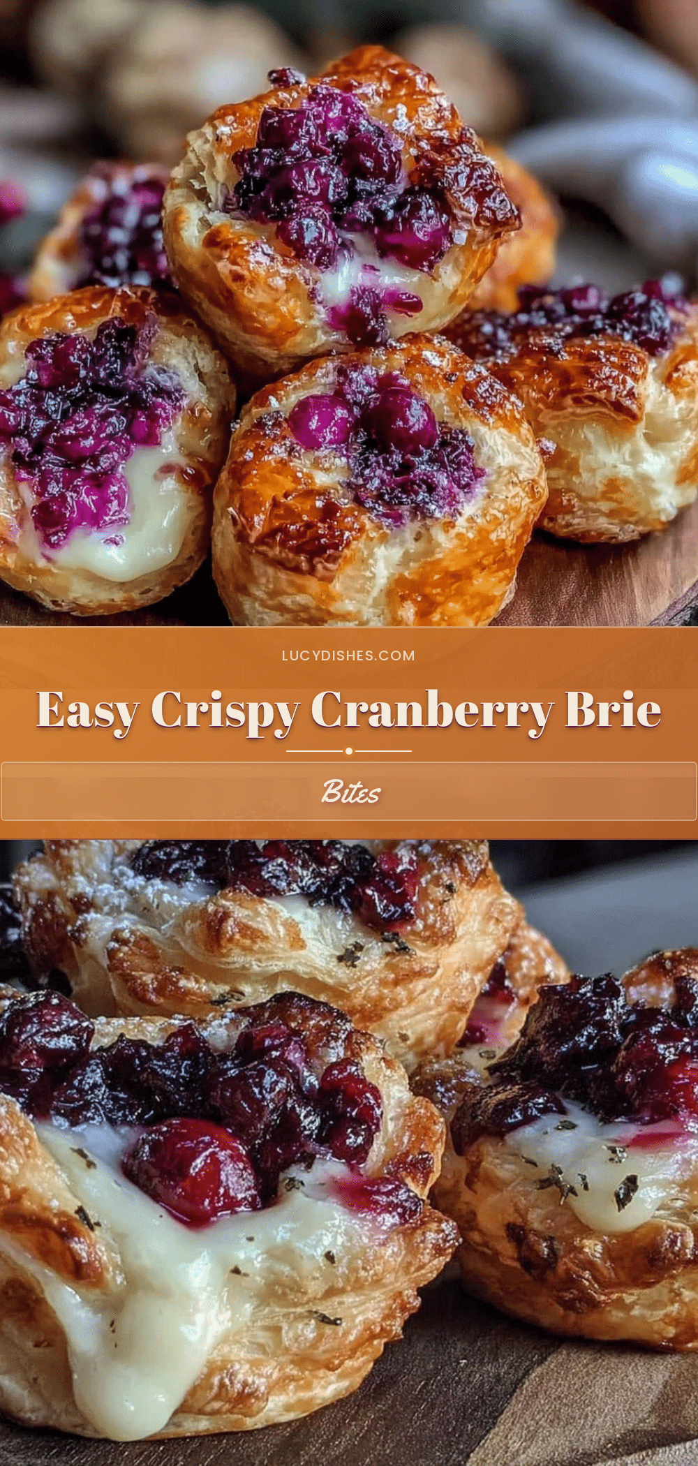 crispy cranberry brie bites recipe