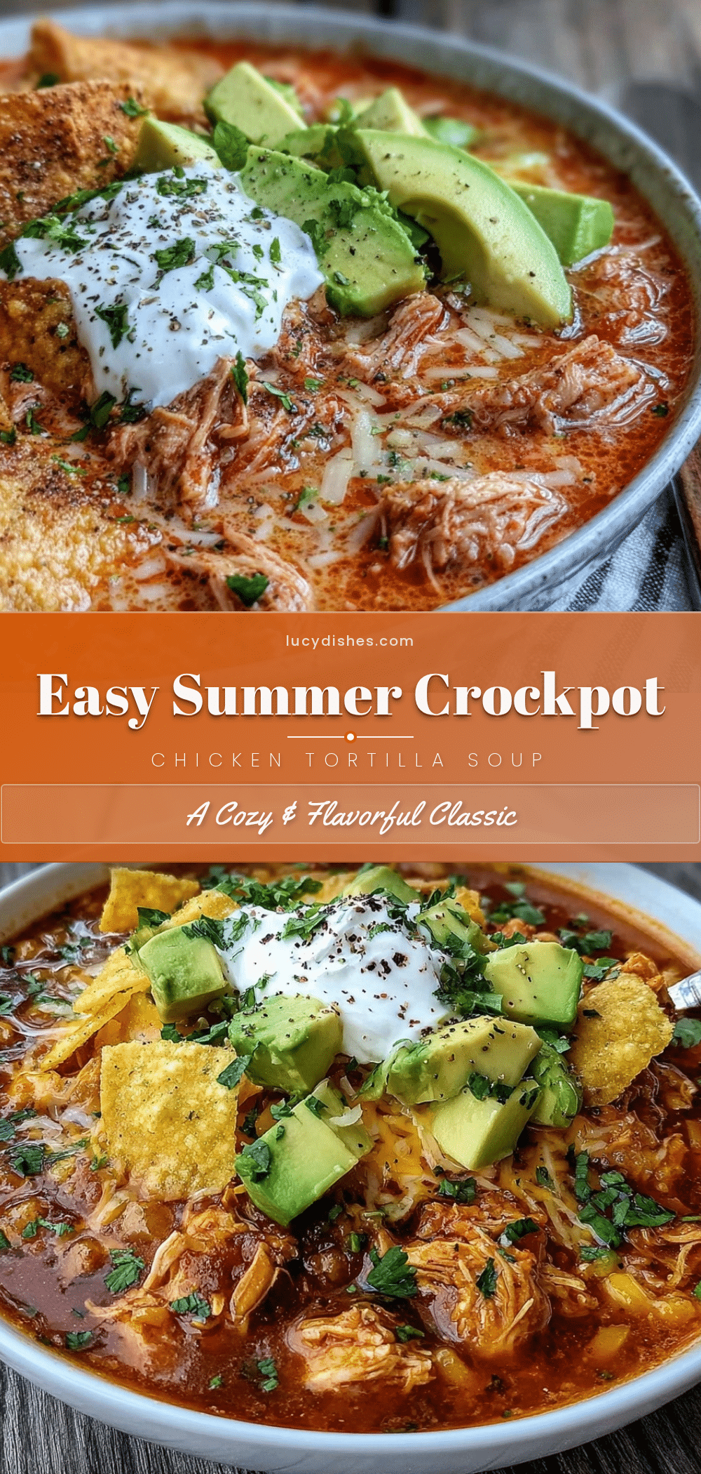 summer crockpot chicken tortilla soup recipe
