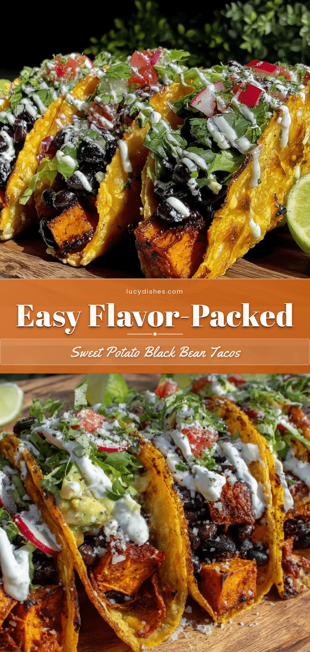sweet potato and black bean tacos recipe